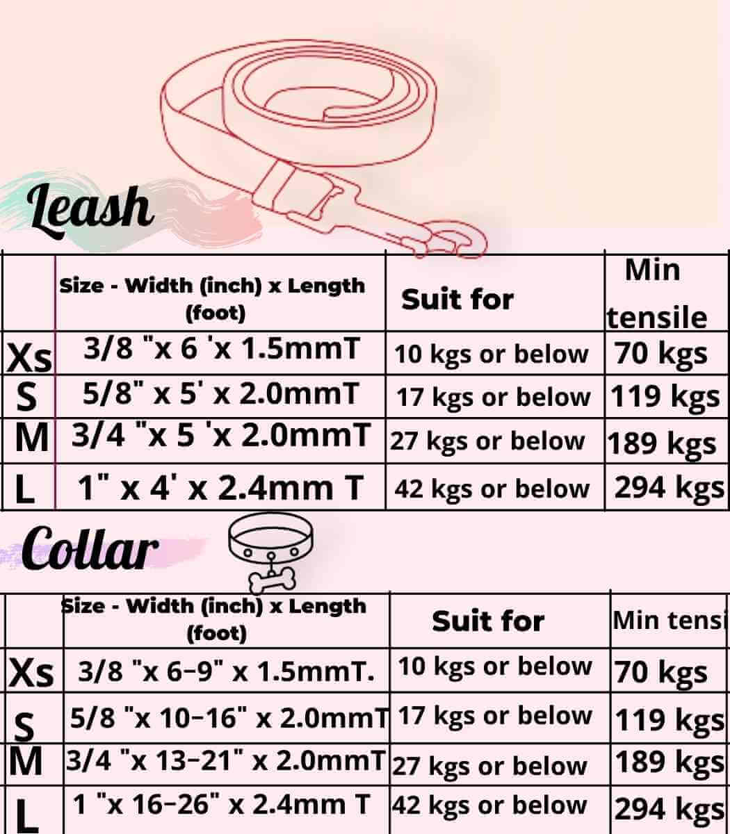 What Length Should I Choose for My Dog's Leash
