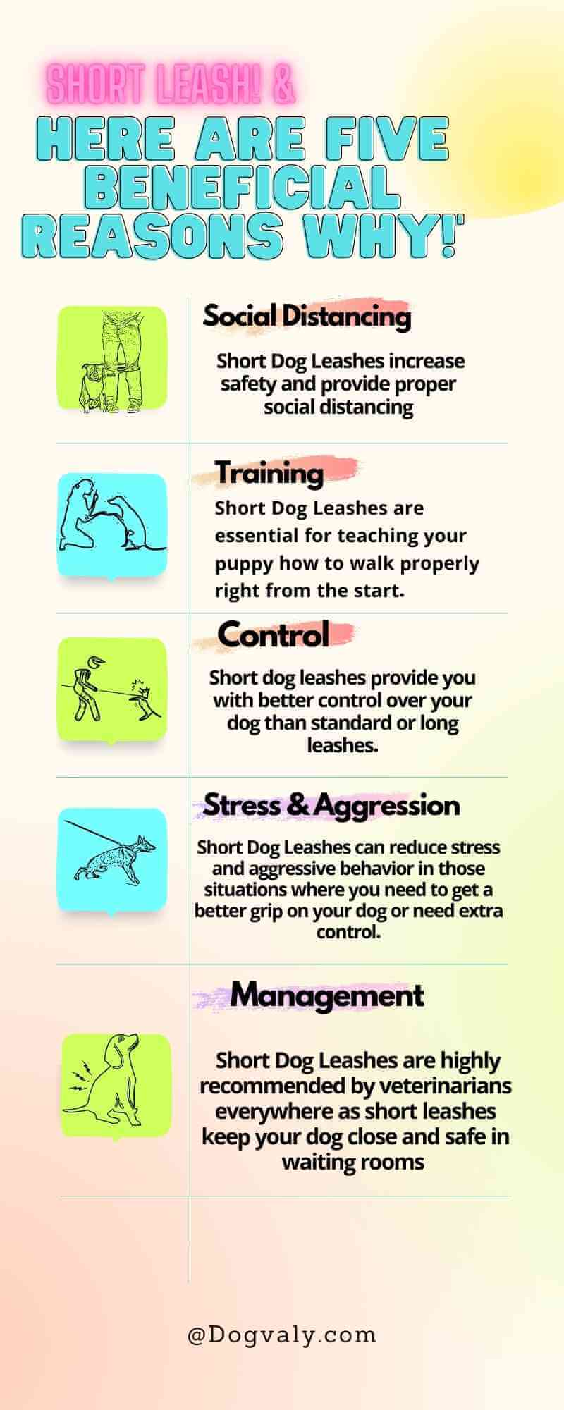 benefits of using a shorter dog leash