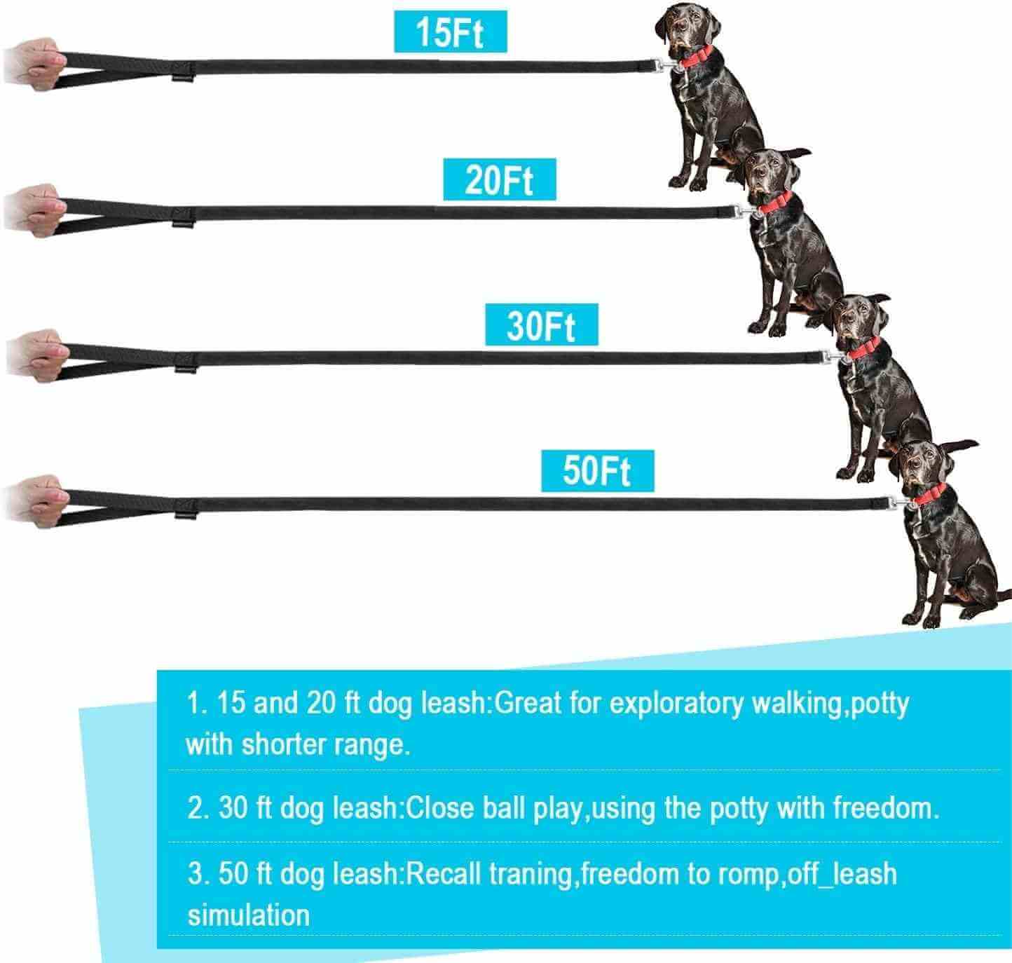 What are the benefits of using a longer dog leash