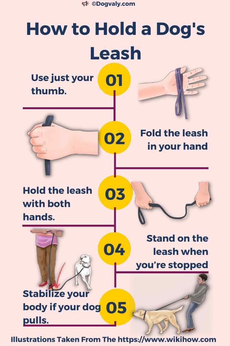 How to Hold a Dog's Leash