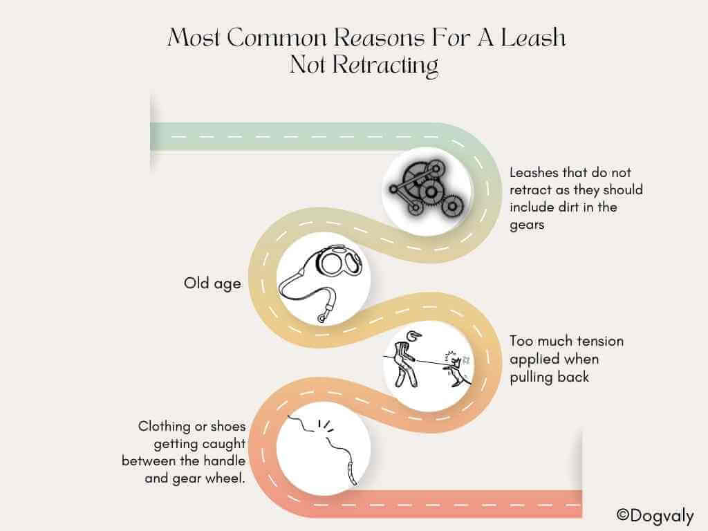 What are the most common reasons for a leash not retracting
