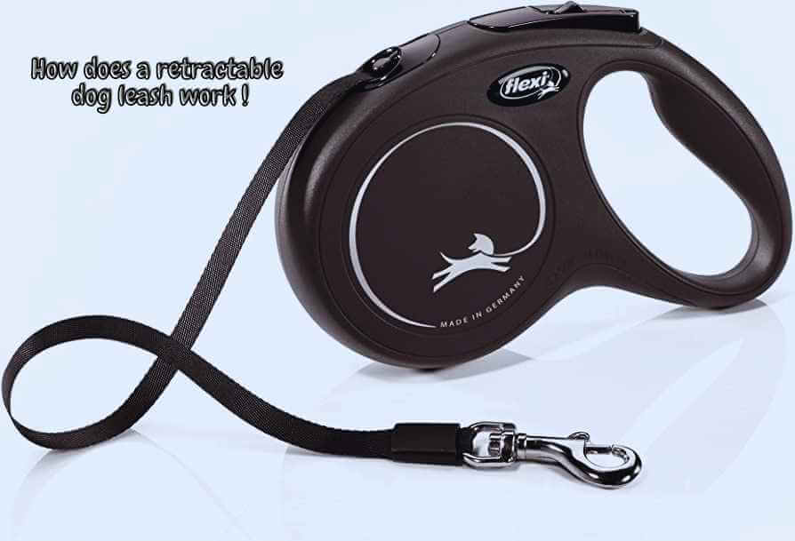 how do retractable leashes work