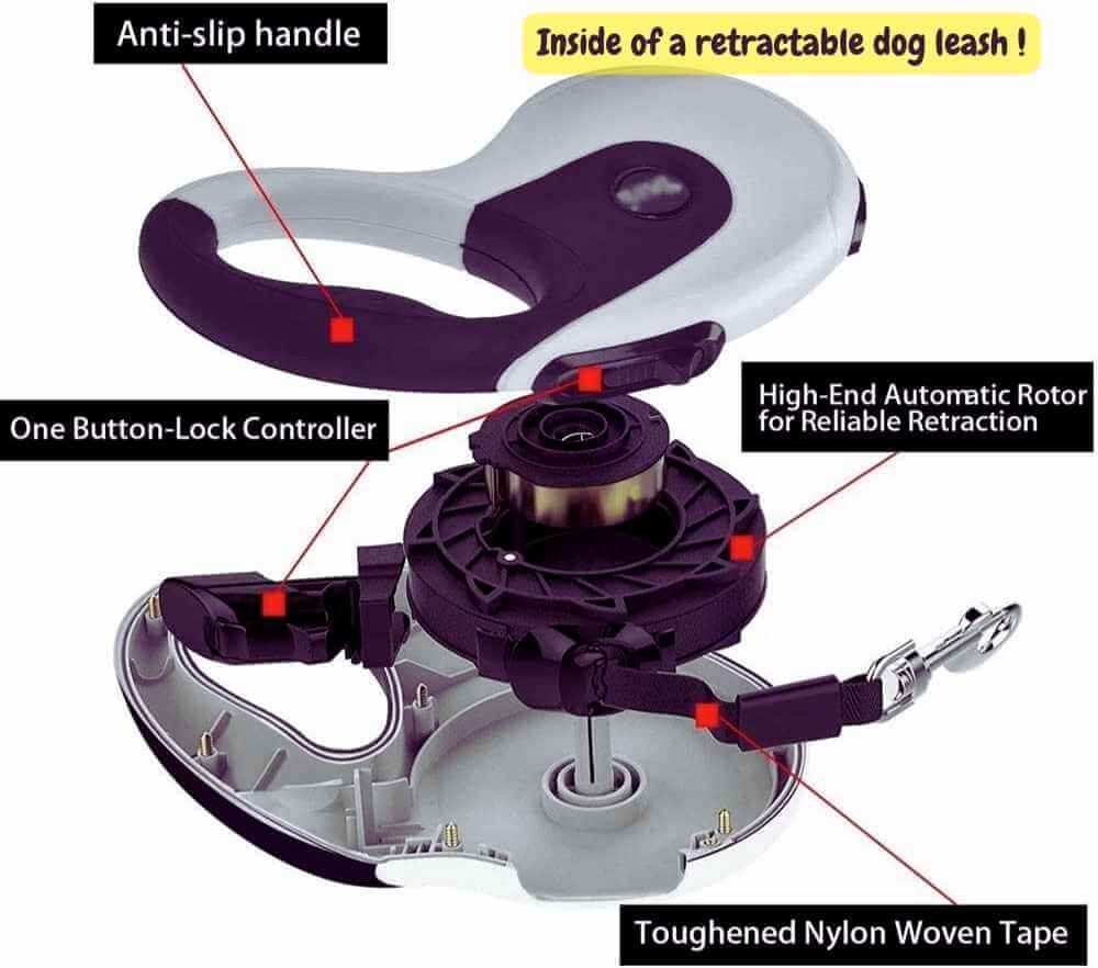 inside of a retractable dog leash