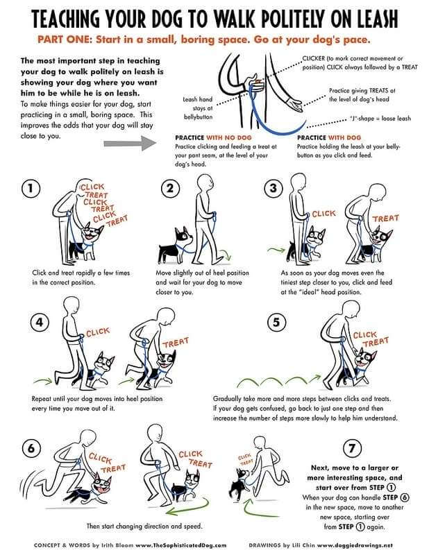 how to train loose-leash training steps