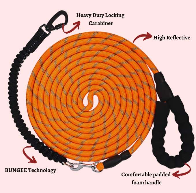 100ft dog leash