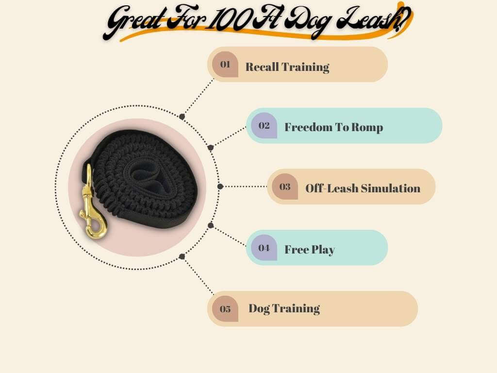 Benefits of 100 ft dog leashes