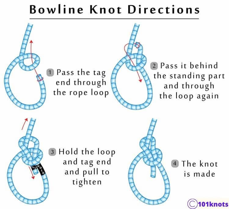  Bowline knot