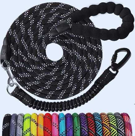 Jenico 100 foot Shock Absorber Bungee Walking Dog Leash