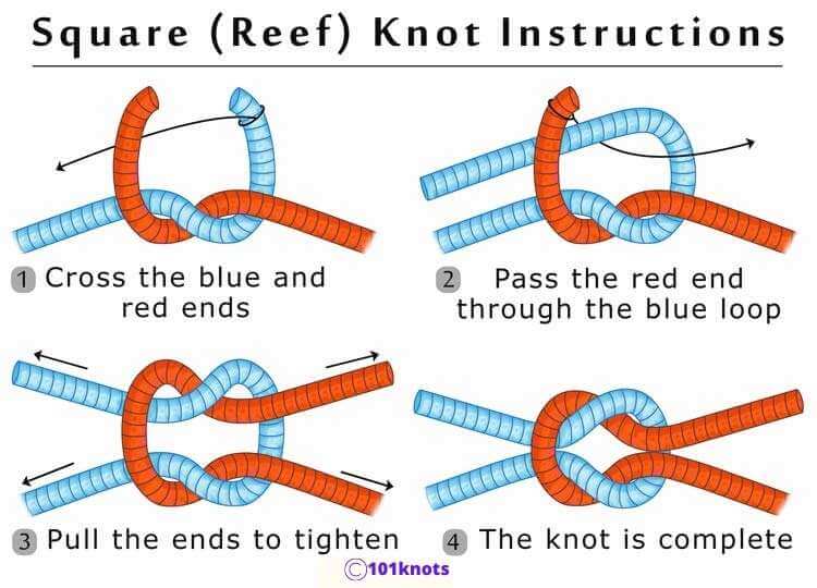 Reef-knot for dog