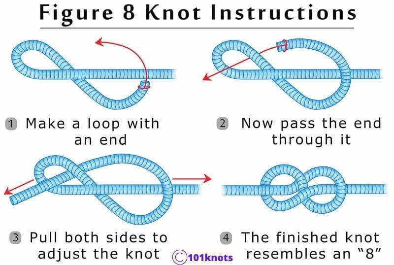 The Figure-8 Knot for dog leash