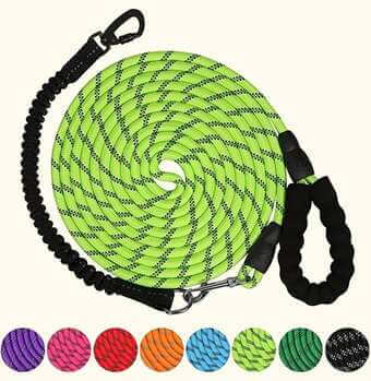 Heavy Duty long dog Leash