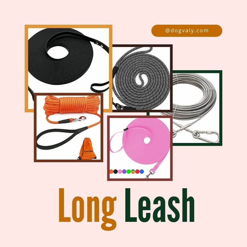 Long Leashes for Dogs