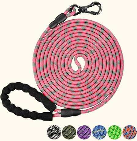 NTR long rope dog leash