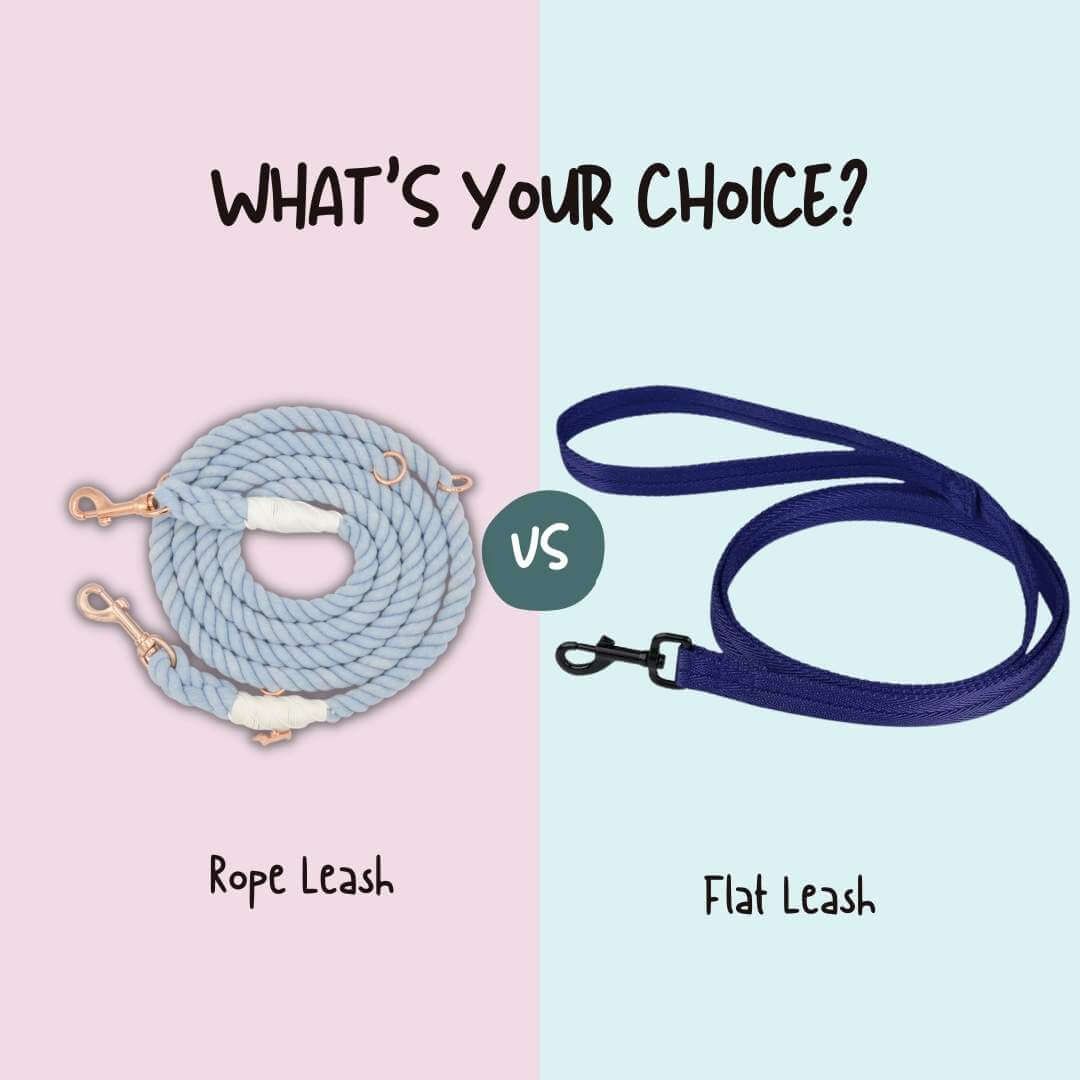 rope leash vs flat leash