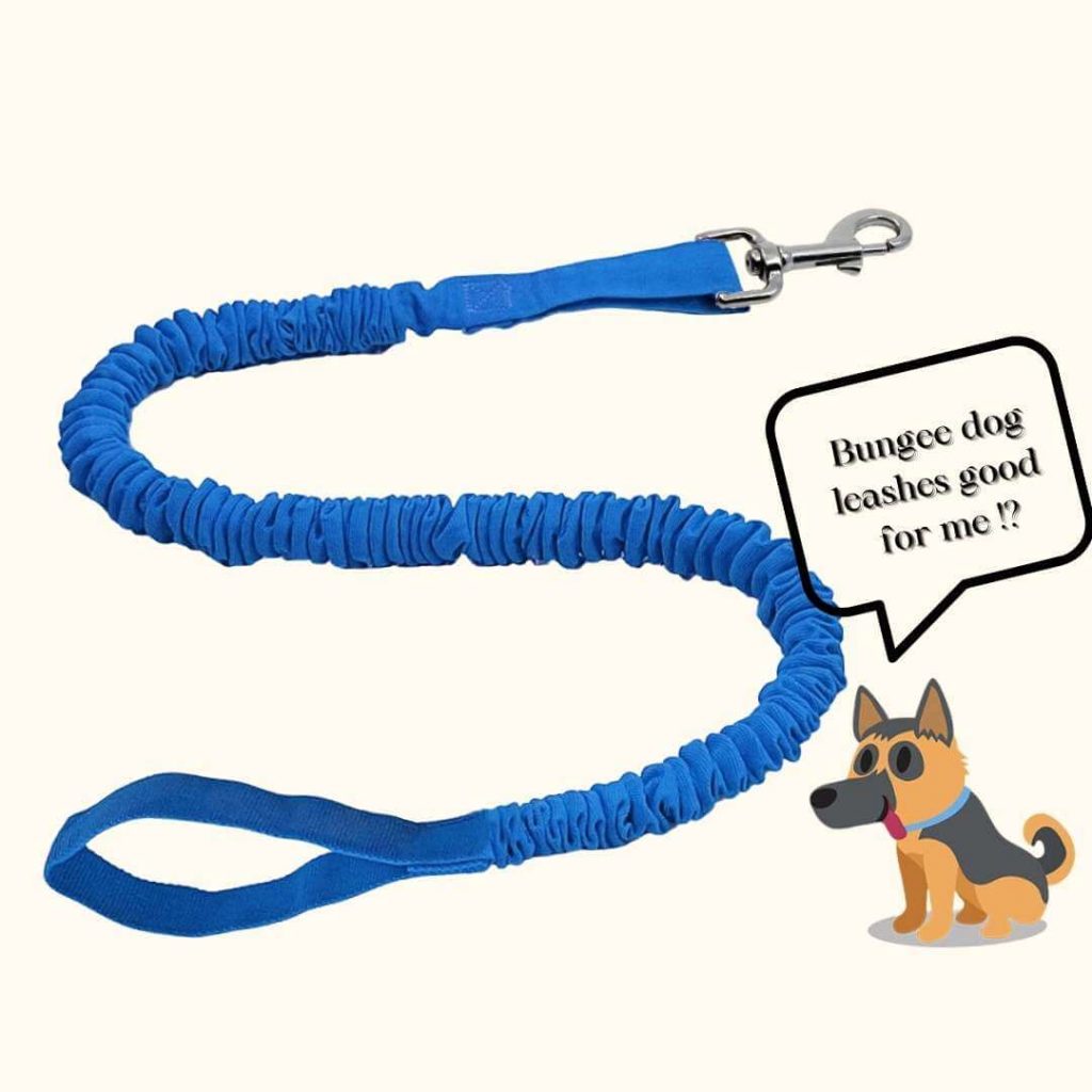 Bungee Dog Leashes Good