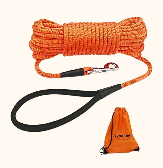 long Check Cord Dog Leash for a puppy