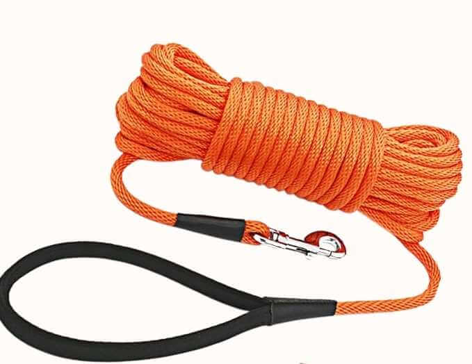 long line cord leash for a puppy