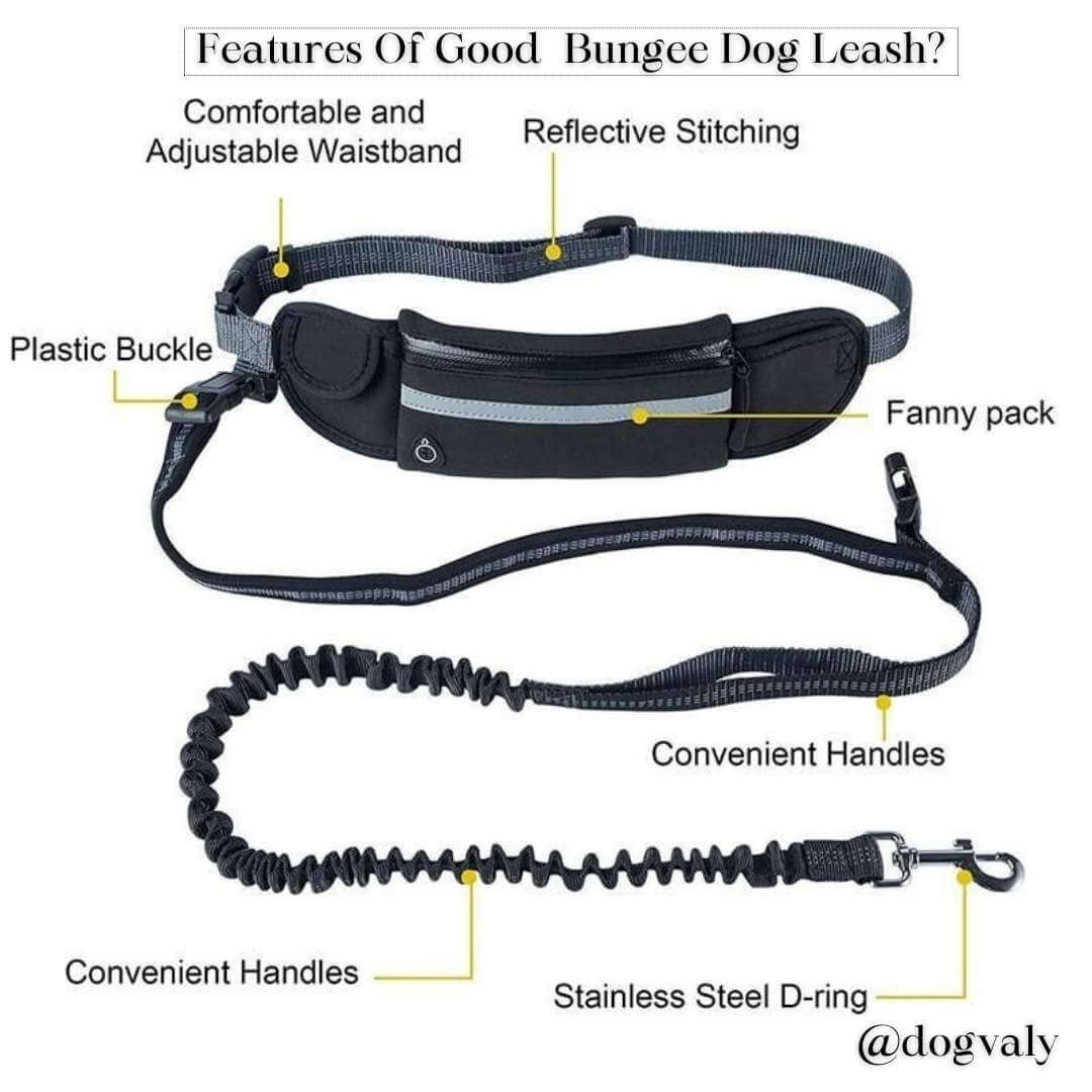 Features Bungee Dog Leash
