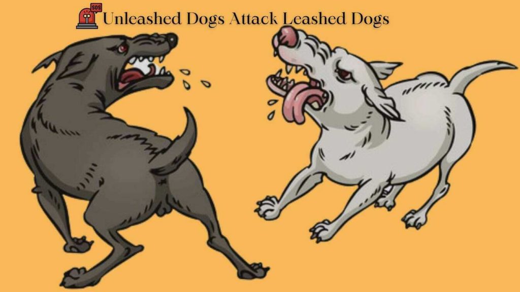 Why Unleashed Dogs Attack Leashed Dogs
