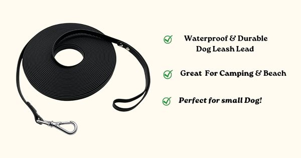 waterproof long leash for beach swimming camping
