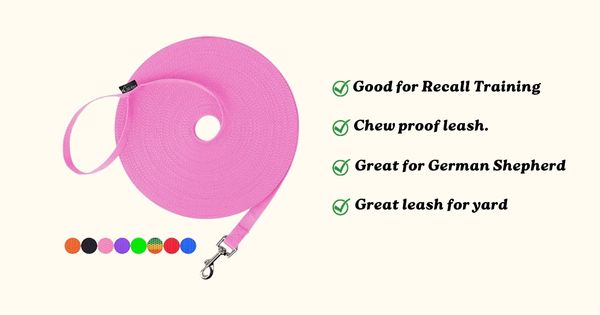 Best long leash for recall training