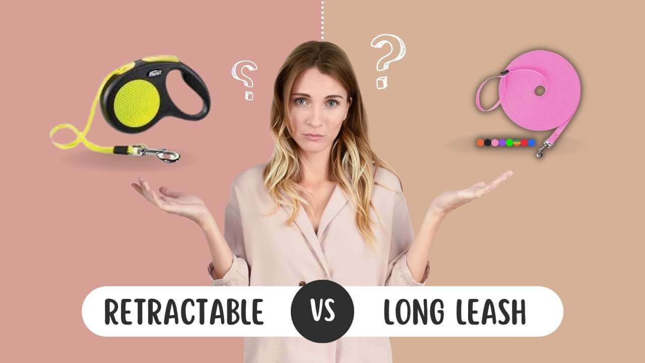 long leash vs retractable leash