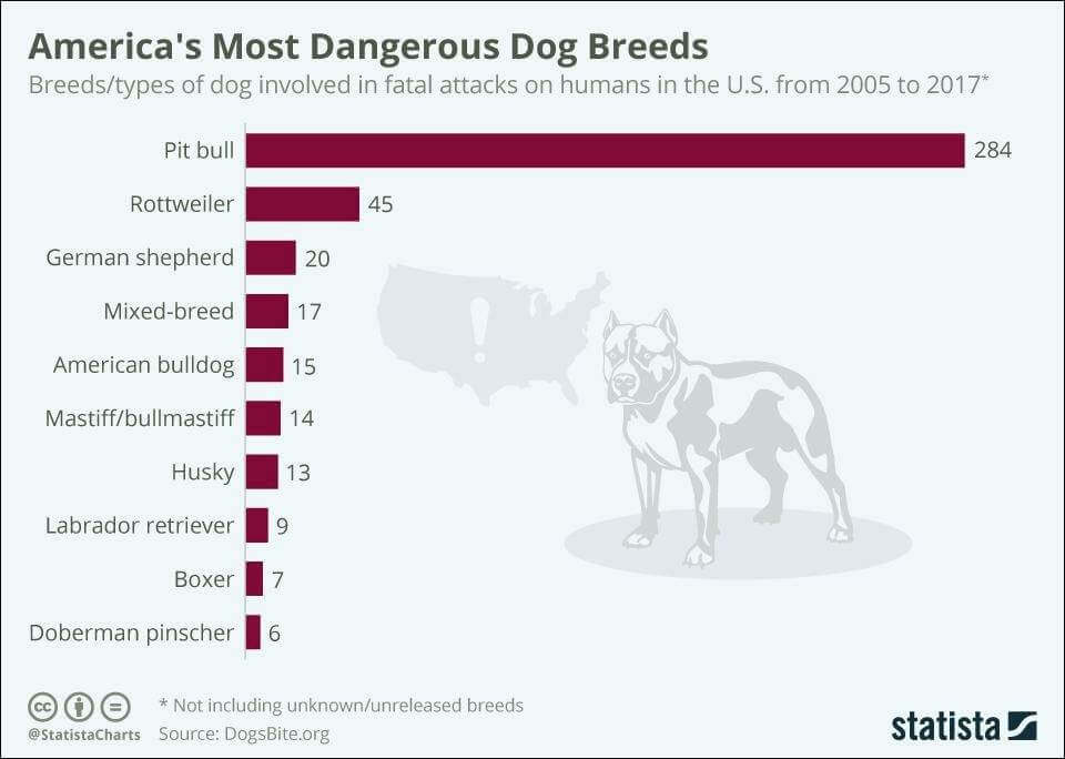 Dog Attack Statistics in 2022