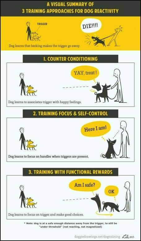 how should you handle an unleashed dog attacking your dog