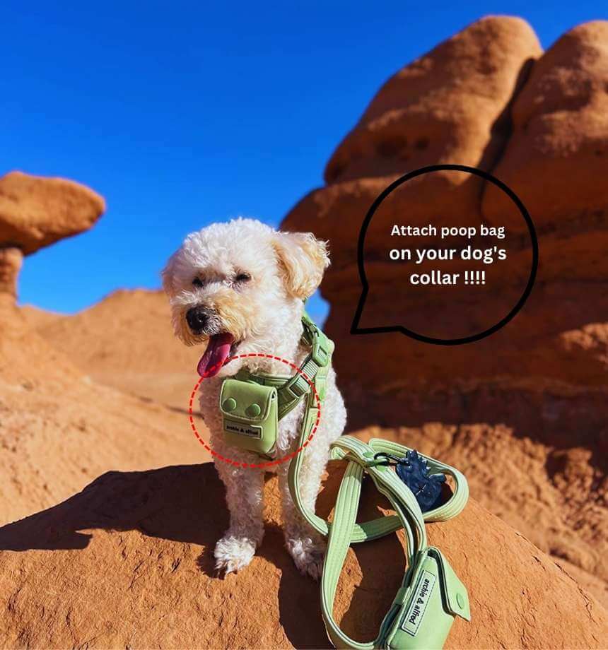 attach a poop bag holder to your dog's collar