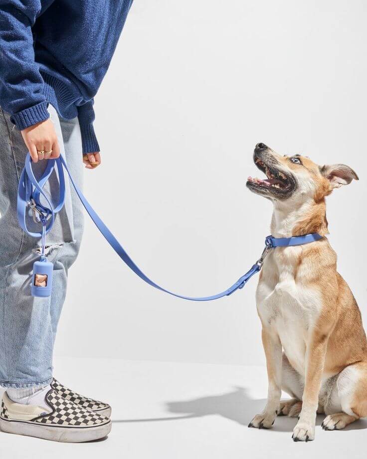 How to Put on A Dog Leash