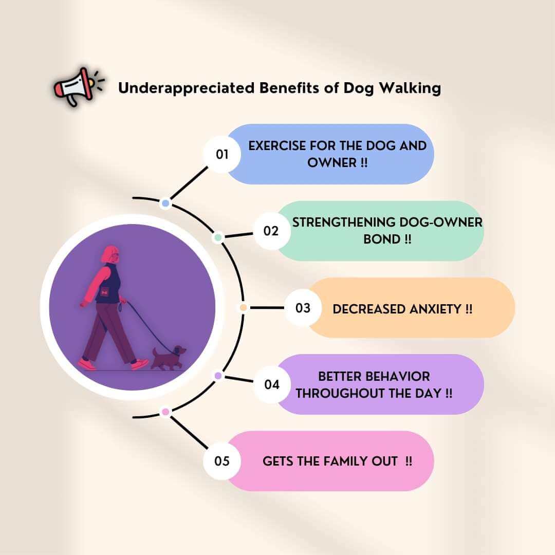 benefit use leash during walking with your dog