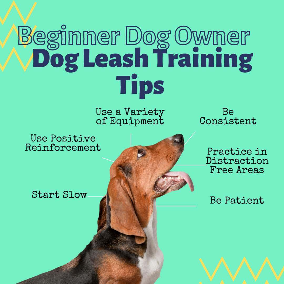 long leash training tips for the dog