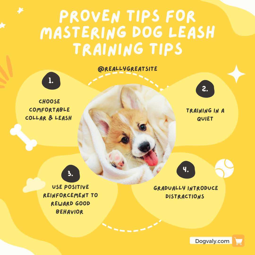 how to leash train a puppy that won't walk