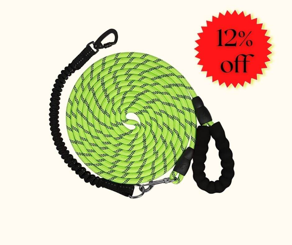 100 ft Comfortable padded handle Bungee leash