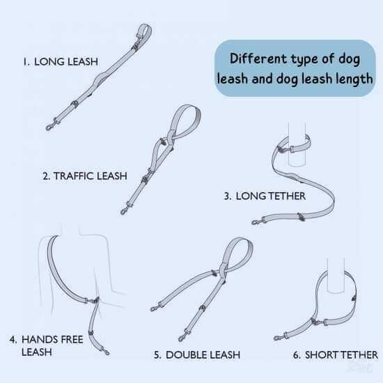 length of dog leash