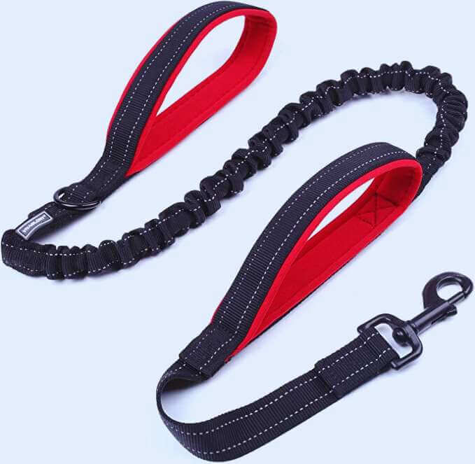 Heavy Duty Bungee No Pull Reflective Leashes With Two Handles