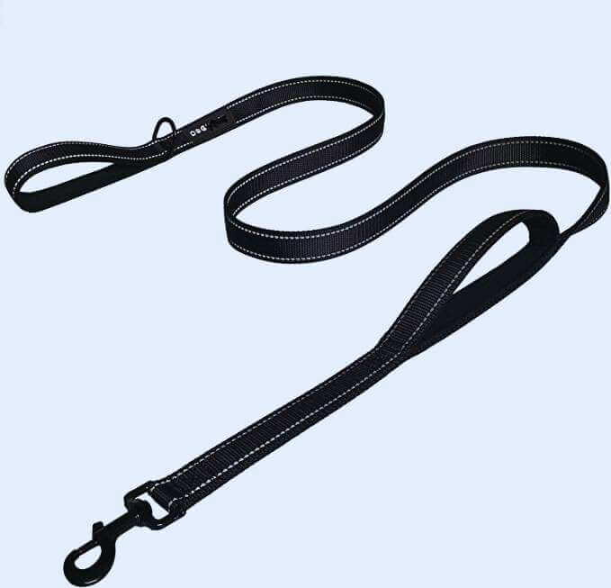 Double Handle Dog Leash for training, pulling and running