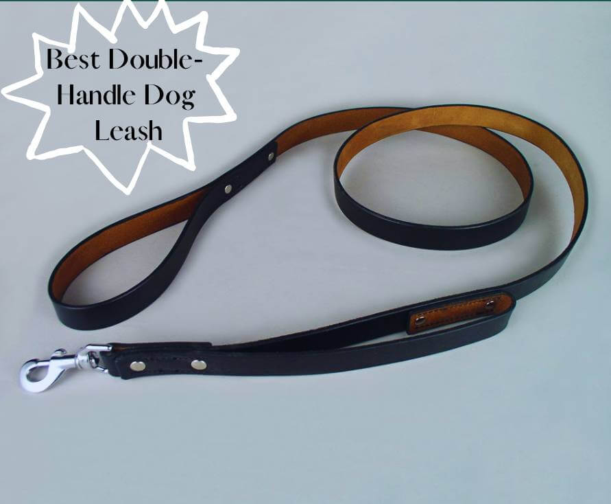 Double handle dog leash