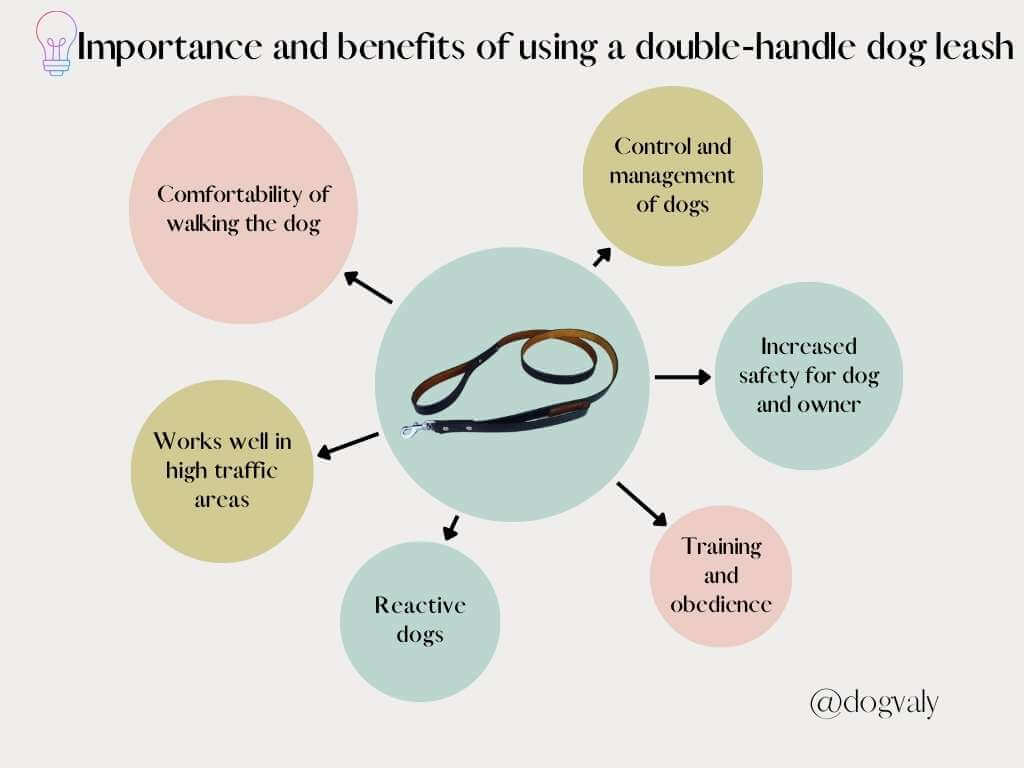Importance and benefits of using a double handle dog leash