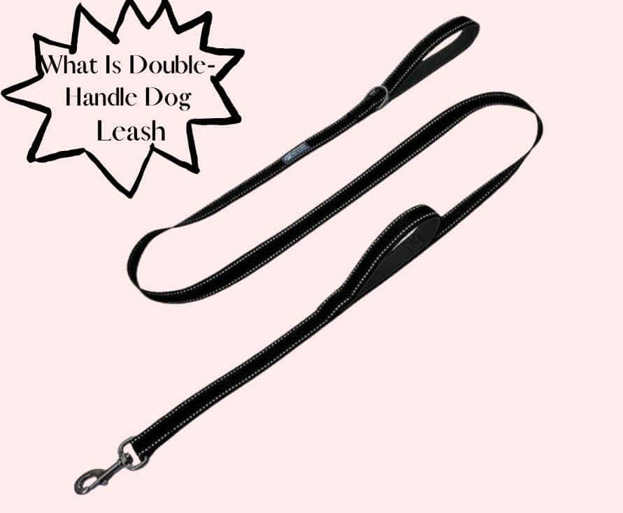 What is a double-handle dog leash