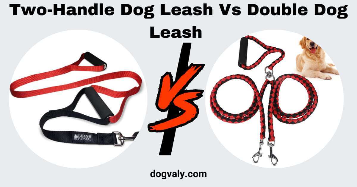 difference double leash & double handle leash