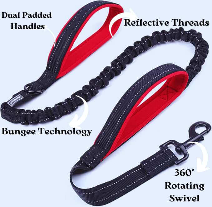 features Bungee Double Handle Dog Leash