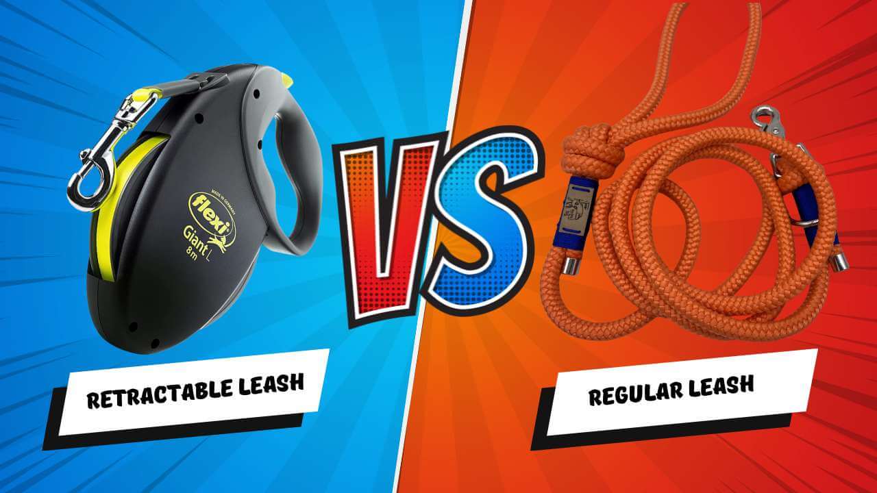 Retractable leash vs Regular leash