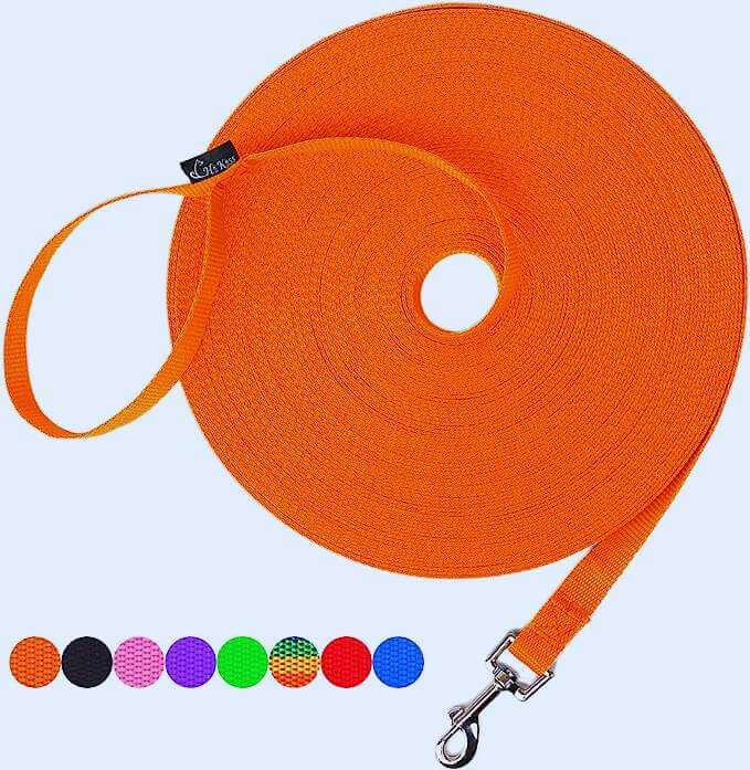 100 Ft Hi Kiss Recall Training Leash Great For Hiking, Camping, Training, Hunting, Backyard, Beach, Outdoor Play