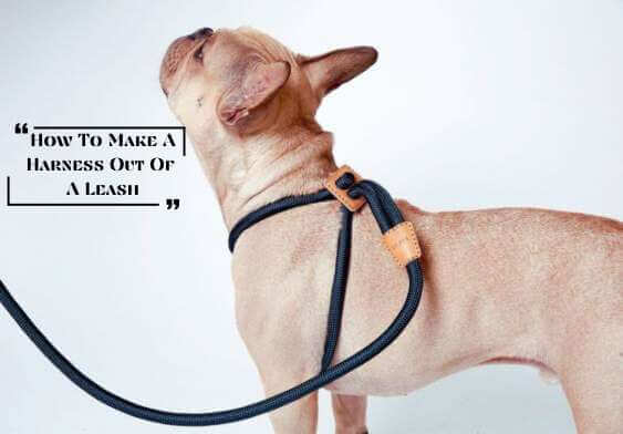 How to make a harness out of a leash