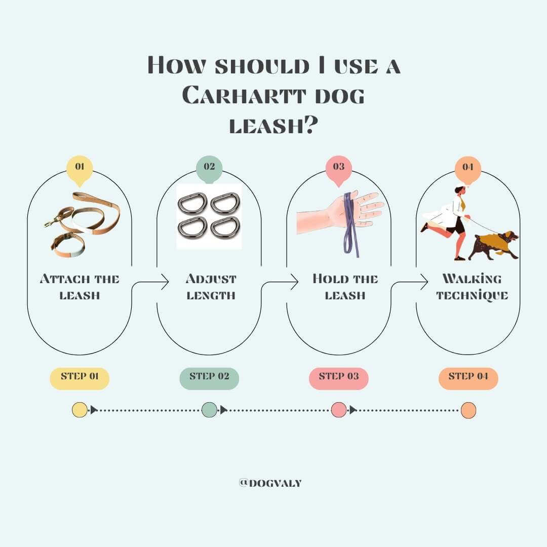 carhartt dog leash how to use