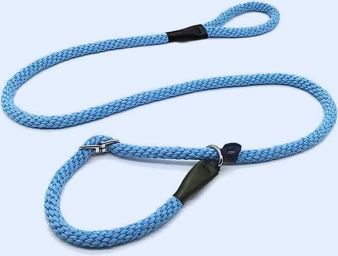 Buying Guide for Transitional Leashes