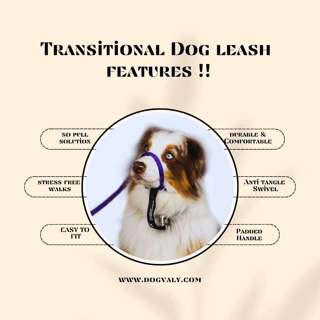 Best transitional leash Reviews