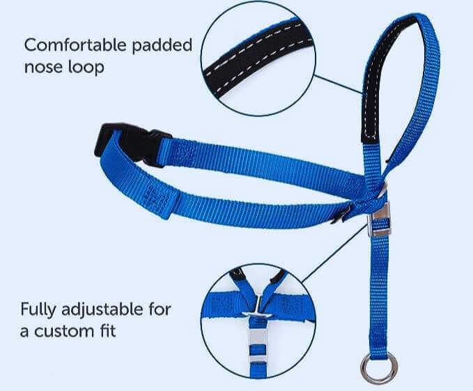 Best transitional leash Reviews