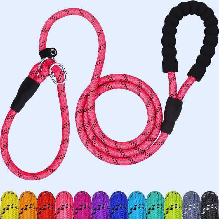 transitional leash review